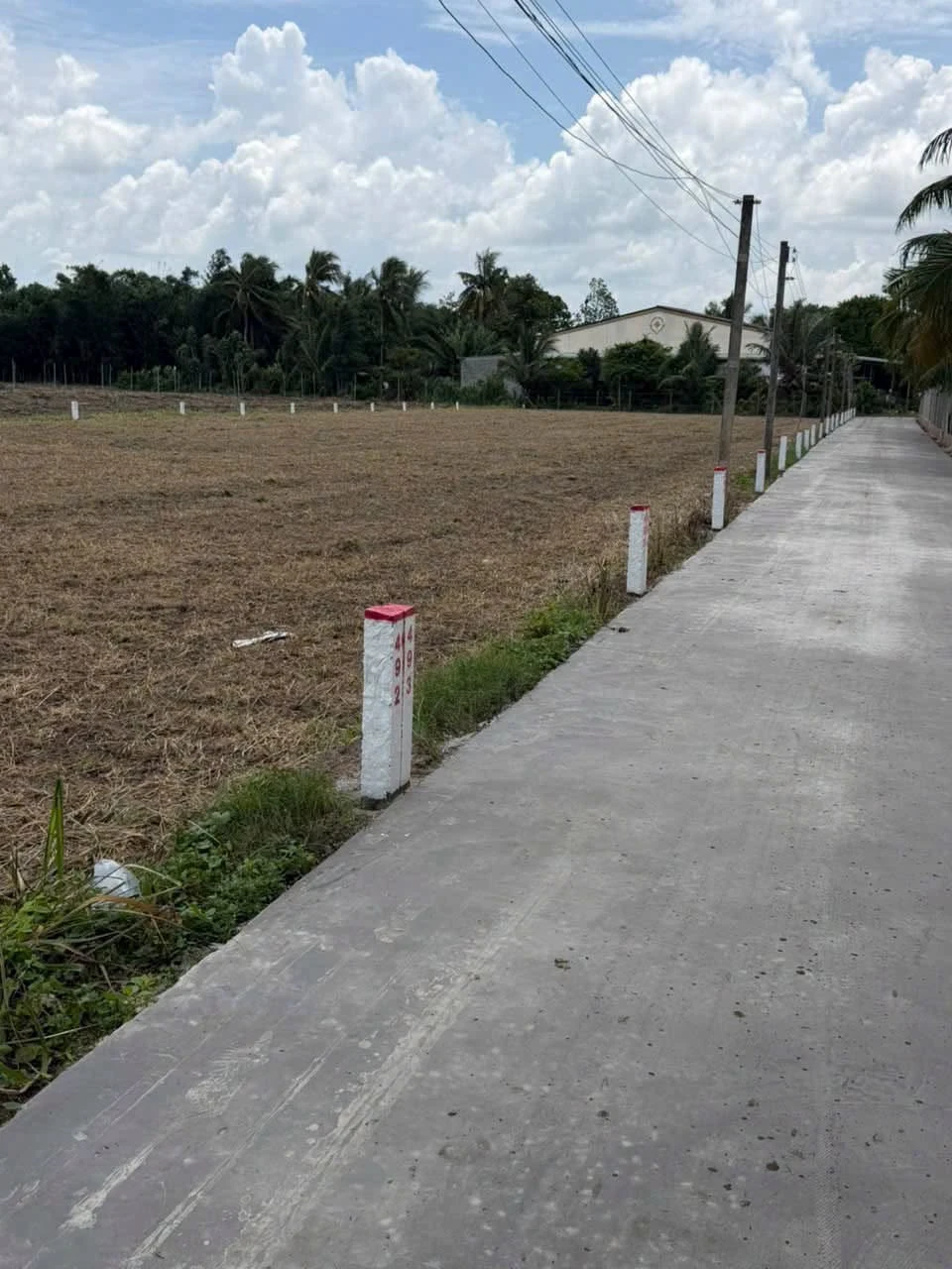 Bán đất Tây Ninh 125m² 245 triệu Dương Minh Châu - Ảnh 1