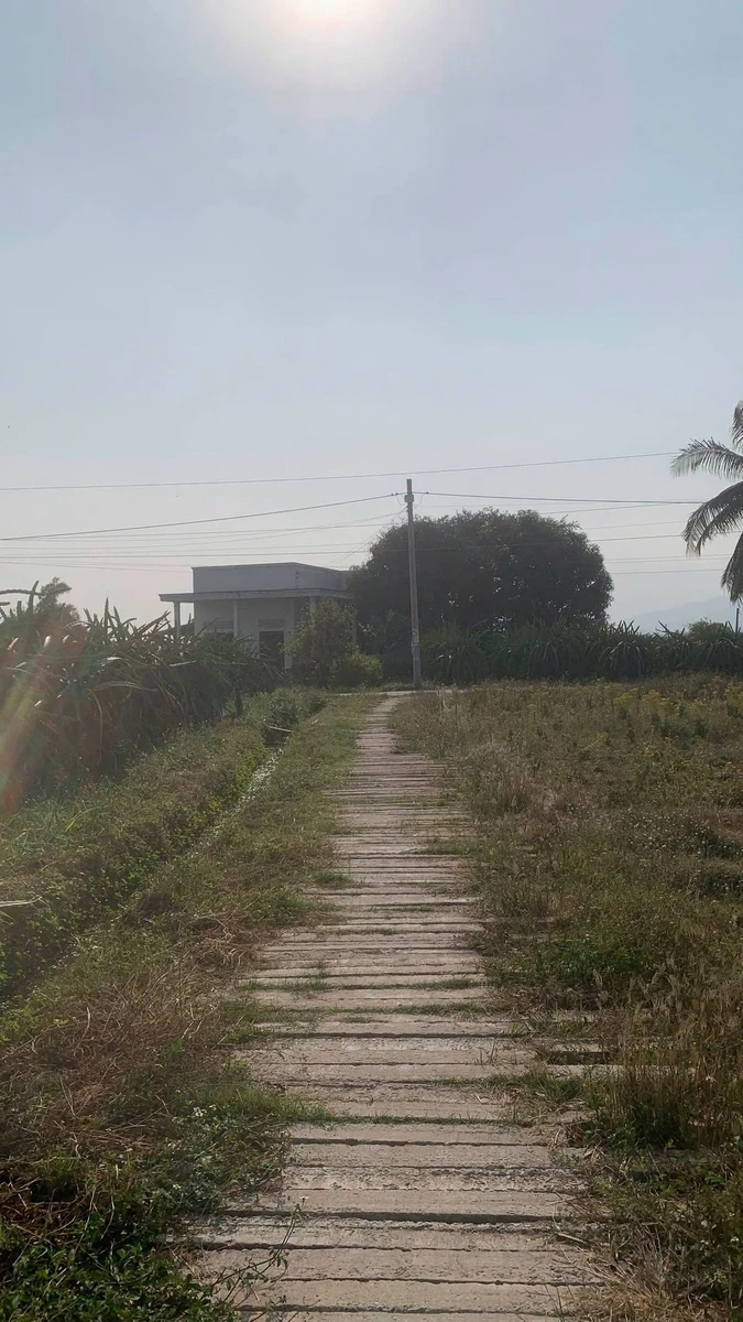 Bán 300m đất thổ cư có nhà cấp 4 ở Nhà Bè 550 triệu - Ảnh thu nhỏ 3