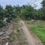 Bán nền 72m² Trường Long Tây Bình Chánh 190 triệu - Ảnh thu nhỏ 1