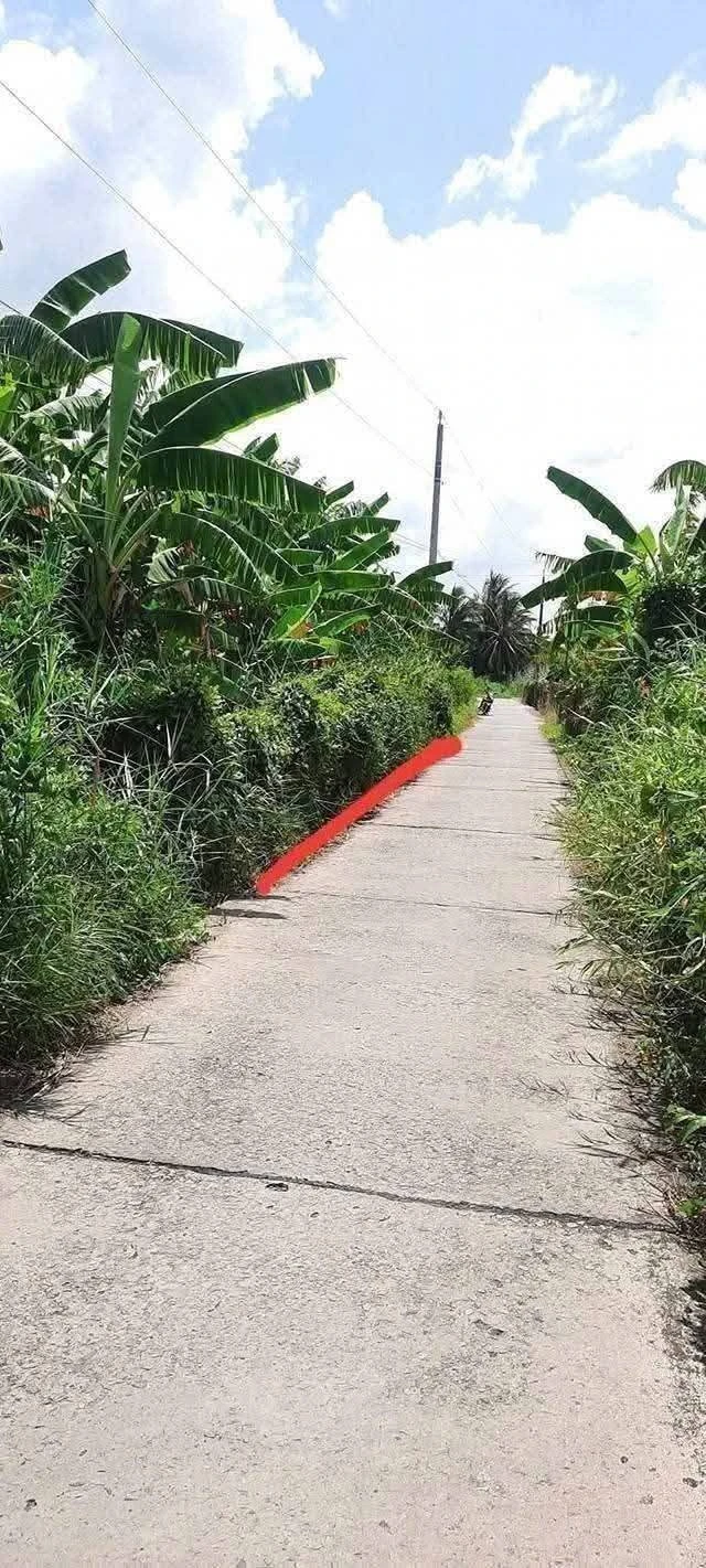 Bán lô đất thổ cư 140m² Châu Thành, Long An - Ảnh 1