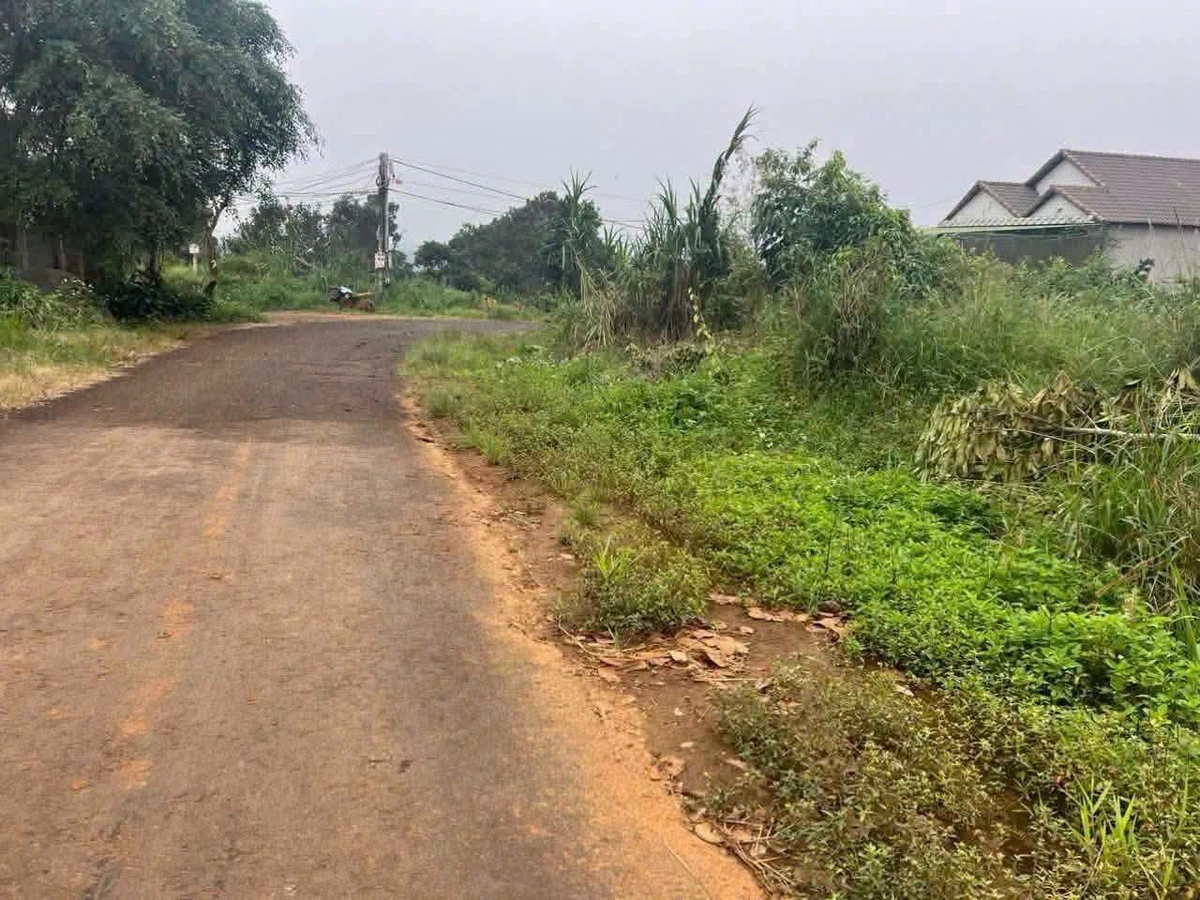 Bán đất mặt tiền 300m² Tân Tiến Lâm Đồng 420 triệu - Ảnh 1