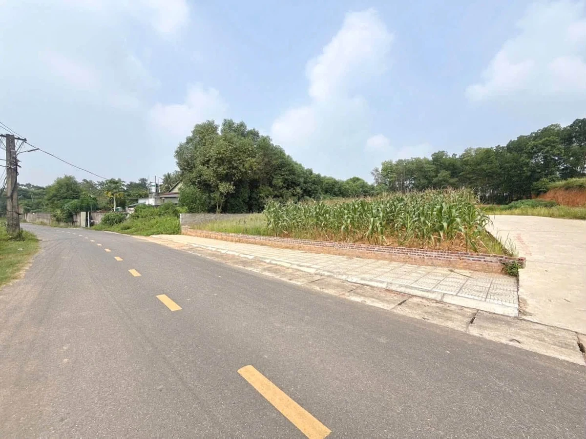 Bán đất 106.6m² gần Cụm CN Bắc Lâm Thao, Bình Chánh - Ảnh thu nhỏ 2