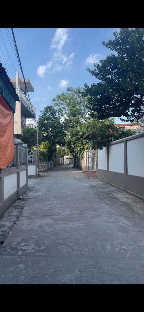 Bán đất 120m2 tặng nhà mới xây tại Thị Trấn Gia Lộc, ngõ ô tô vào tận cửa - Ảnh thu nhỏ 4