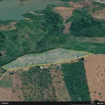 Bán 2,8ha đất cà phê view thác ở Đắk Nia, Lâm Đồng - Ảnh thu nhỏ 1