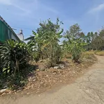 Bán lô đất 976m² sát Sơn Tiên, An Hoà, Cần Giờ - Ảnh thu nhỏ 3