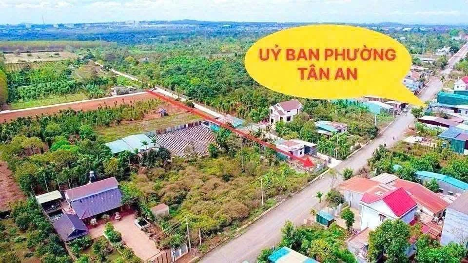 Bán đất 125m² Phường Tân An Bình Chánh 1,1 tỷ - Ảnh 1