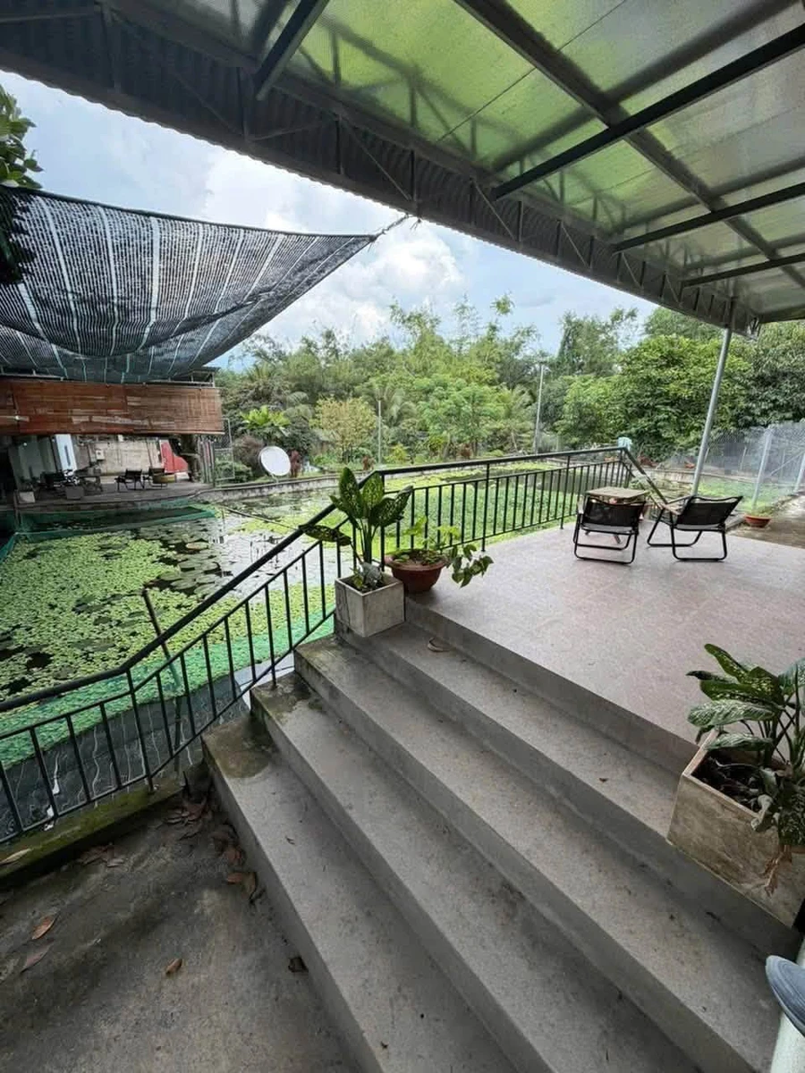 Bán đất view nghỉ dưỡng 2386m² sổ riêng Đồng Nai - Ảnh thu nhỏ 3