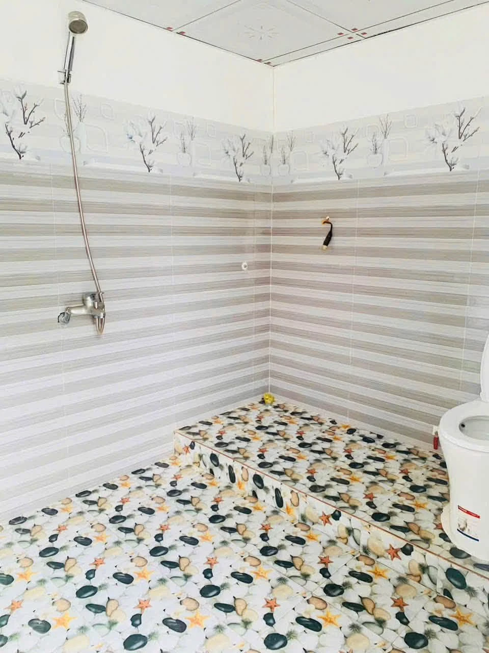Bán nhà thổ cư 125m² 2PN Đắk Lắk giá 770 triệu - Ảnh 1