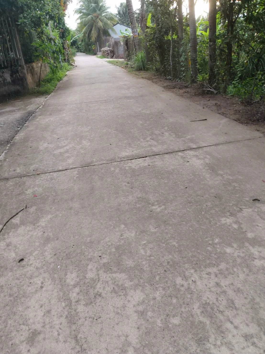 Bán đất 500m2 ngang 25m tại phường An Hội (Sơn Phú, Giồng Trôm, Bến Tre cũ), giá 600 triệu - Ảnh 1