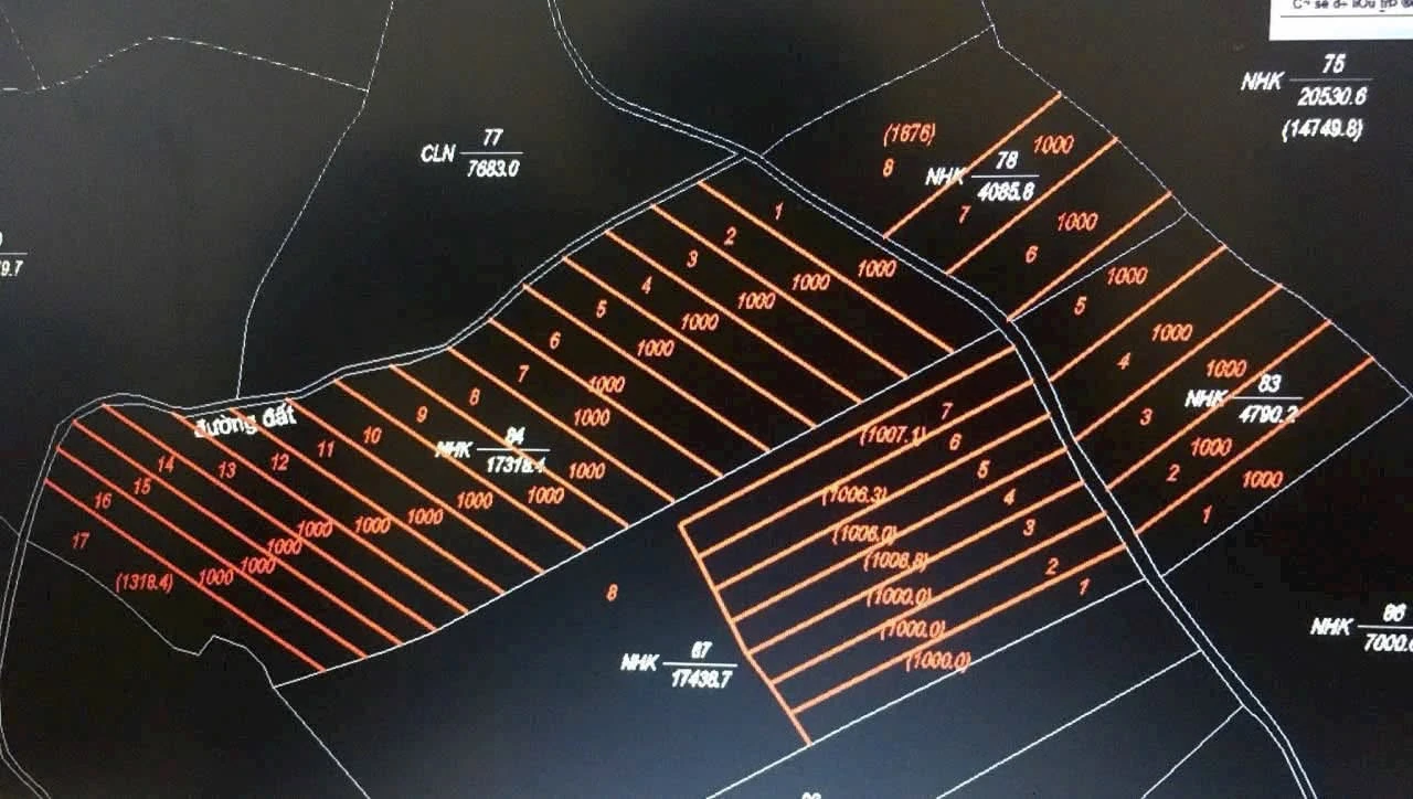 Bán đất 4,5ha tại Đắk R'La, Đắk Mil, Đắk Nông giá 2,5 tỷ - Ảnh 1
