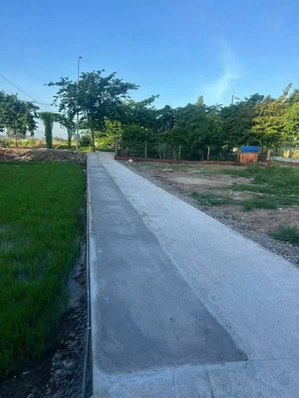 Bán đất thổ cư Long Hoà, Cần Dước 72-75m², 800 triệu/lô - Ảnh thu nhỏ 2