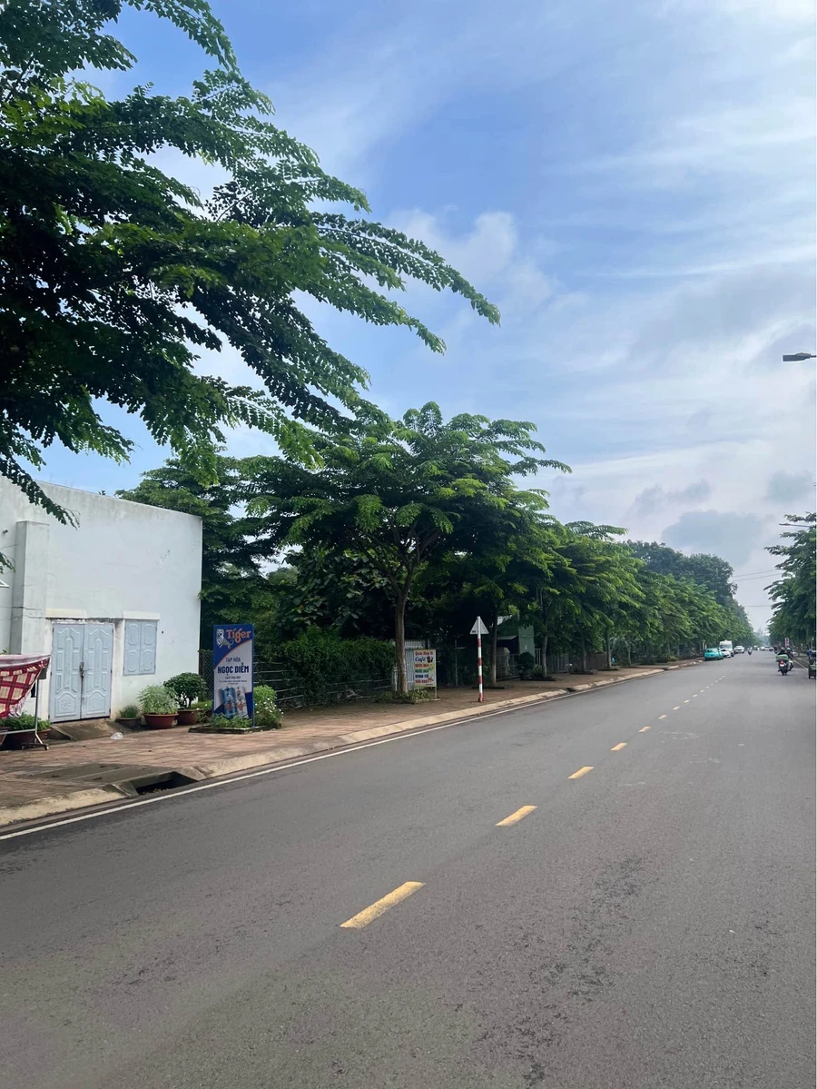 Bán đất trồng cây ăn trái 1000m² Long Khánh Đồng Nai - Ảnh 1
