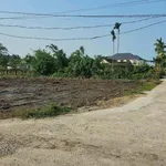Đất nền Phong Chương, Phong Điền từ 199 triệu, 106-175m² - Ảnh thu nhỏ 3