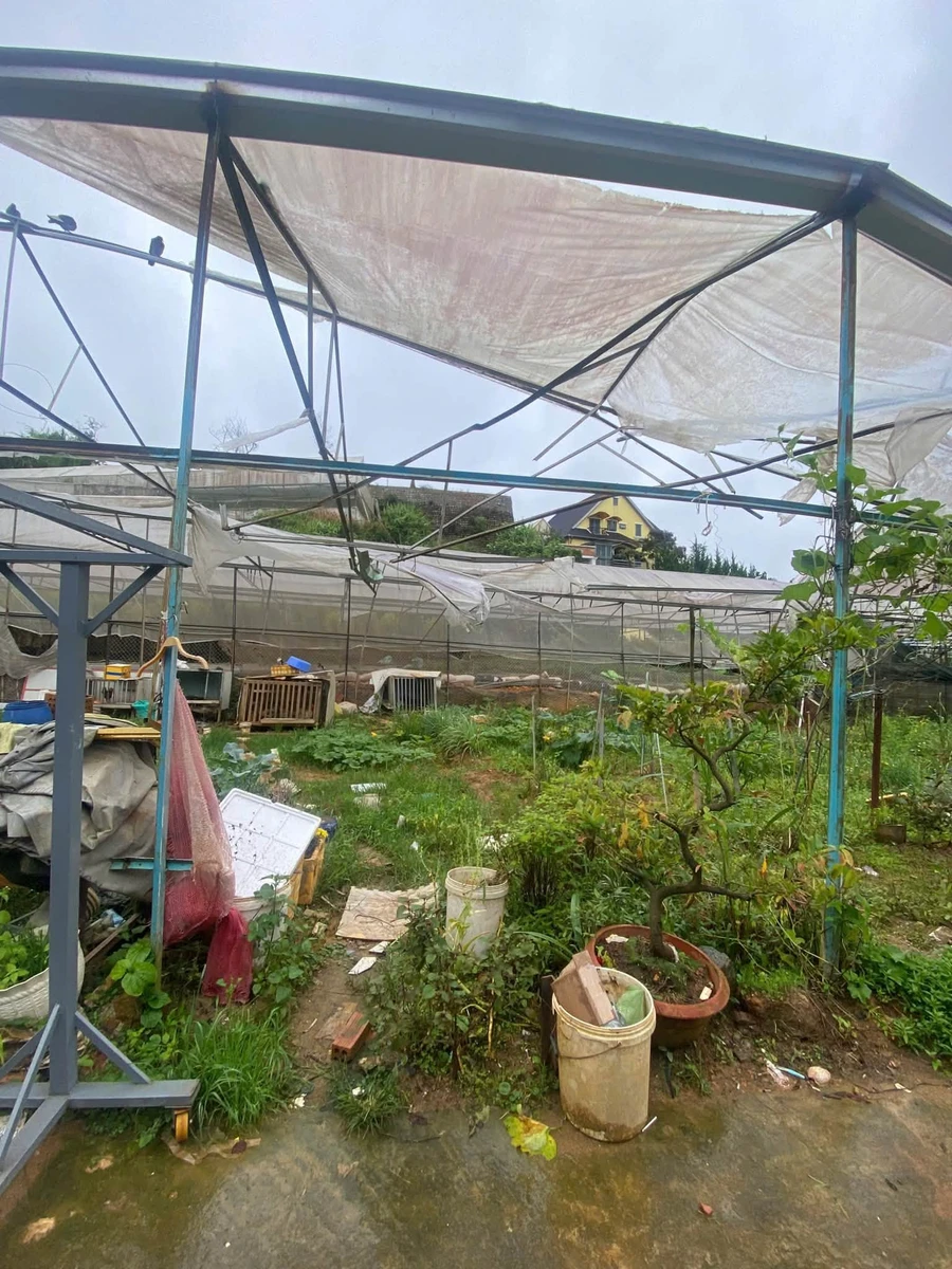 Bán đất mặt tiền đường An Bình Đà Lạt 52.9m² giá 850 triệu - Ảnh thu nhỏ 2