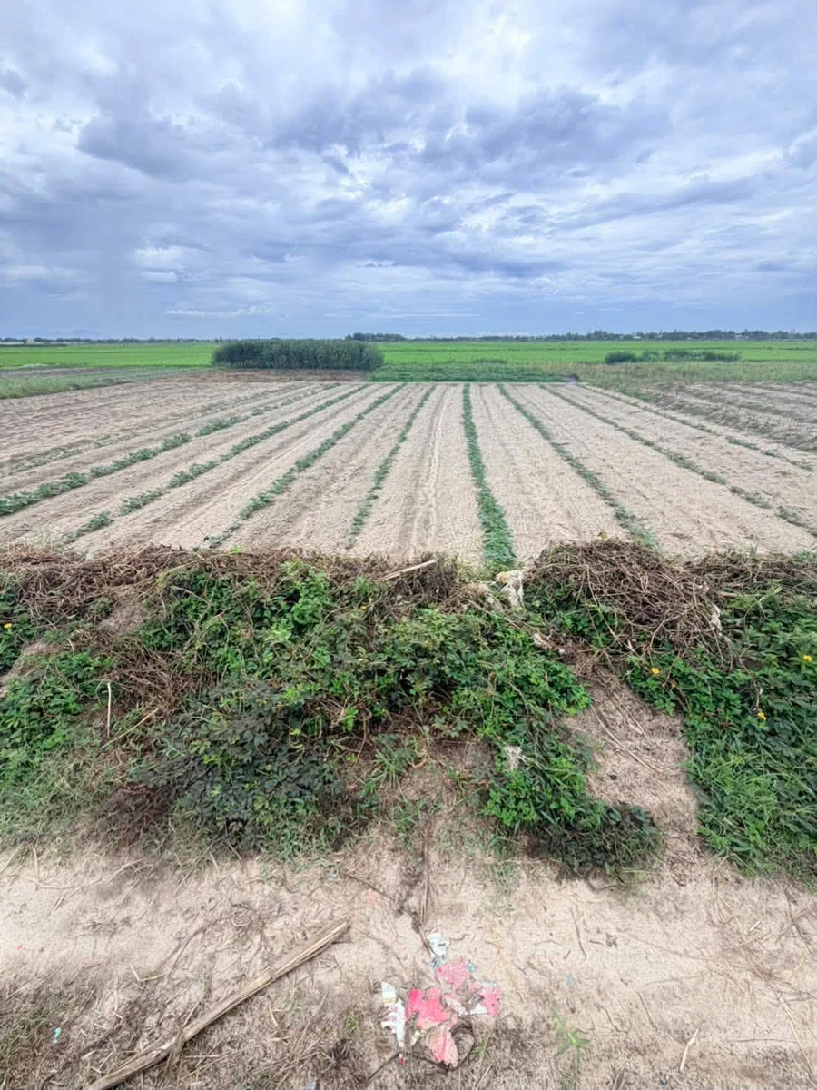 Bán đất 220m² Thăng An, Đà Nẵng, 68 triệu - Ảnh thu nhỏ 2