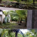 Bán đất vườn dừa 4997m² Vĩnh Long - Ảnh thu nhỏ 2