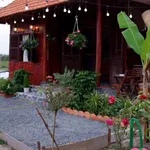 Bán nhà vườn 800m² Hàm Liêm, Phan Thiết - Ảnh thu nhỏ 1