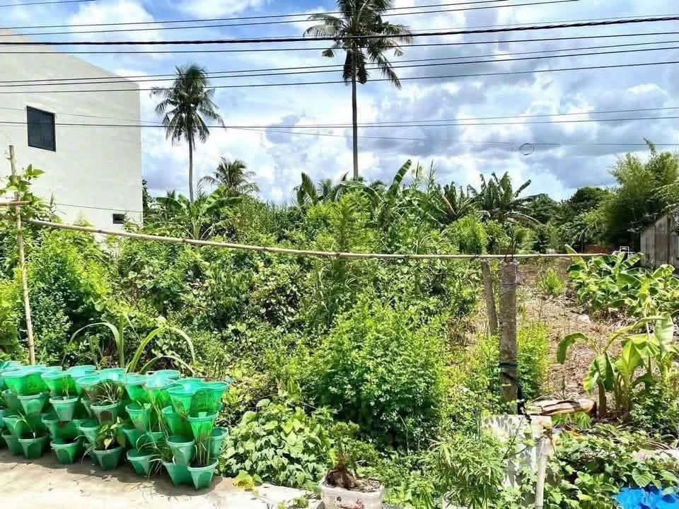 Bán 400m2 đất mặt tiền Huỳnh Thị Nở, Cần Thơ, 1.6 tỷ - Ảnh 1
