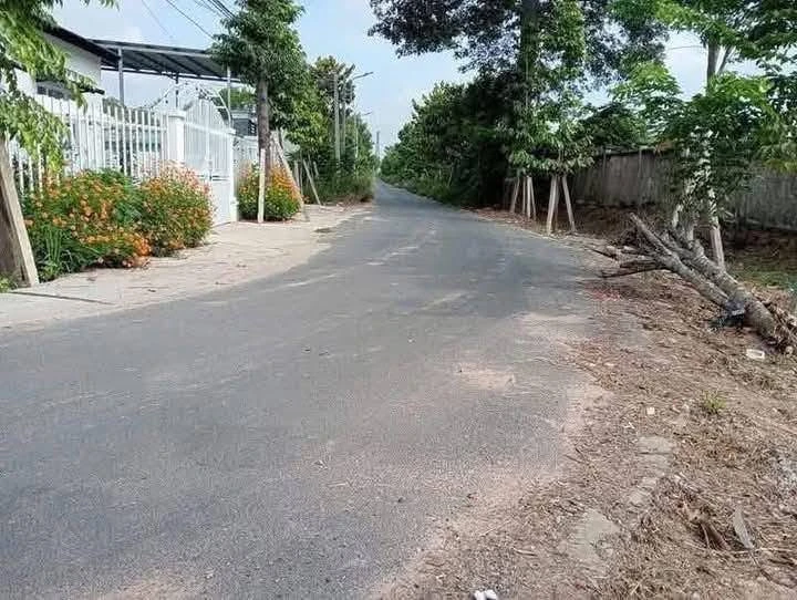 Bán đất 150m² Phú An, Bình Chánh 1,5 tỷ - Ảnh thu nhỏ 4