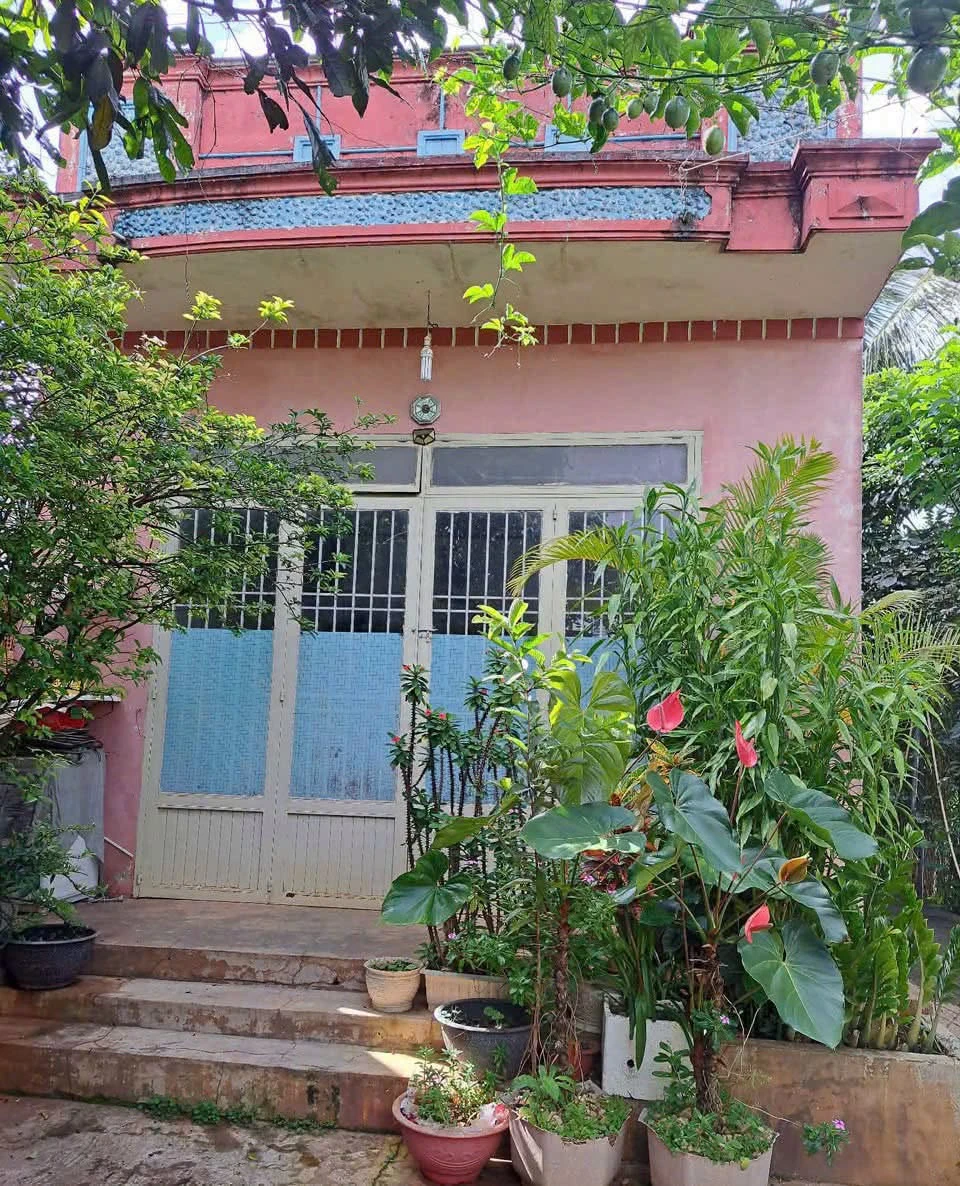 Bán nhà cấp 4 Nghĩa Hiệp 252m² 2,25 tỷ - Ảnh 1