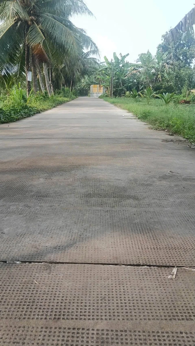 Bán đất vườn dừa 1090m² Xã Tân Thanh, Bến Tre - Ảnh 1