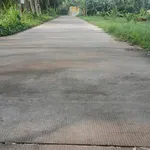 Bán đất vườn dừa 1090m² Xã Tân Thanh, Bến Tre - Ảnh thu nhỏ 1