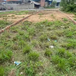 Bán lô đất 590m² Tuy Phước, Bình Dương, 4 tỷ - Ảnh thu nhỏ 1