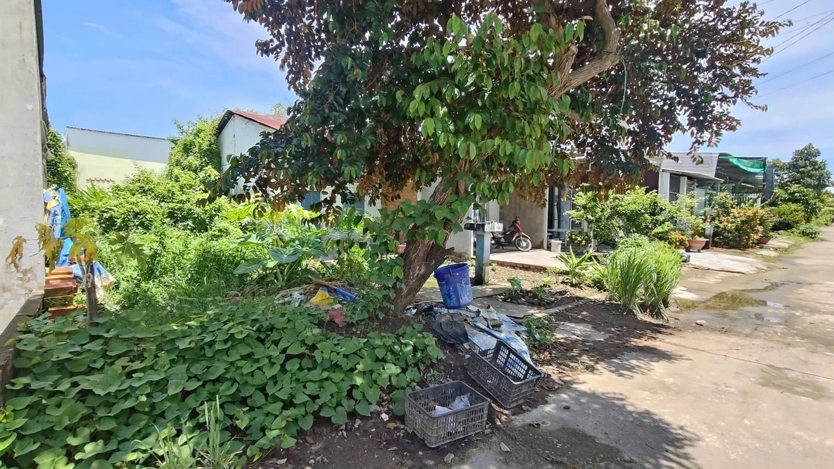 Bán đất khu dân cư Suà Đũa 160m² An Giang - Ảnh thu nhỏ 2