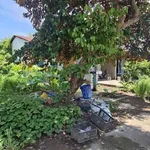 Bán đất khu dân cư Suà Đũa 160m² An Giang - Ảnh thu nhỏ 2