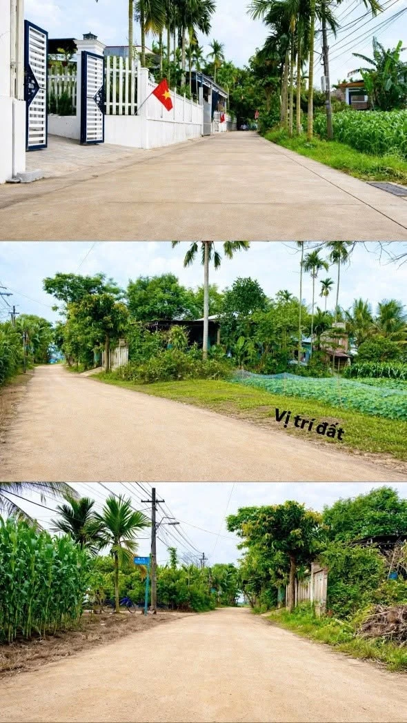 Bán lô đất 5x25 125m2 đường ô tô 5m tại Điện Hồng, Điện Bàn, Quảng Nam giá 610 triệu - Ảnh 1