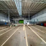 Cho thuê kho mặt tiền 800m2 Rạch Giá An Giang 18 triệu/tháng - Ảnh thu nhỏ 3