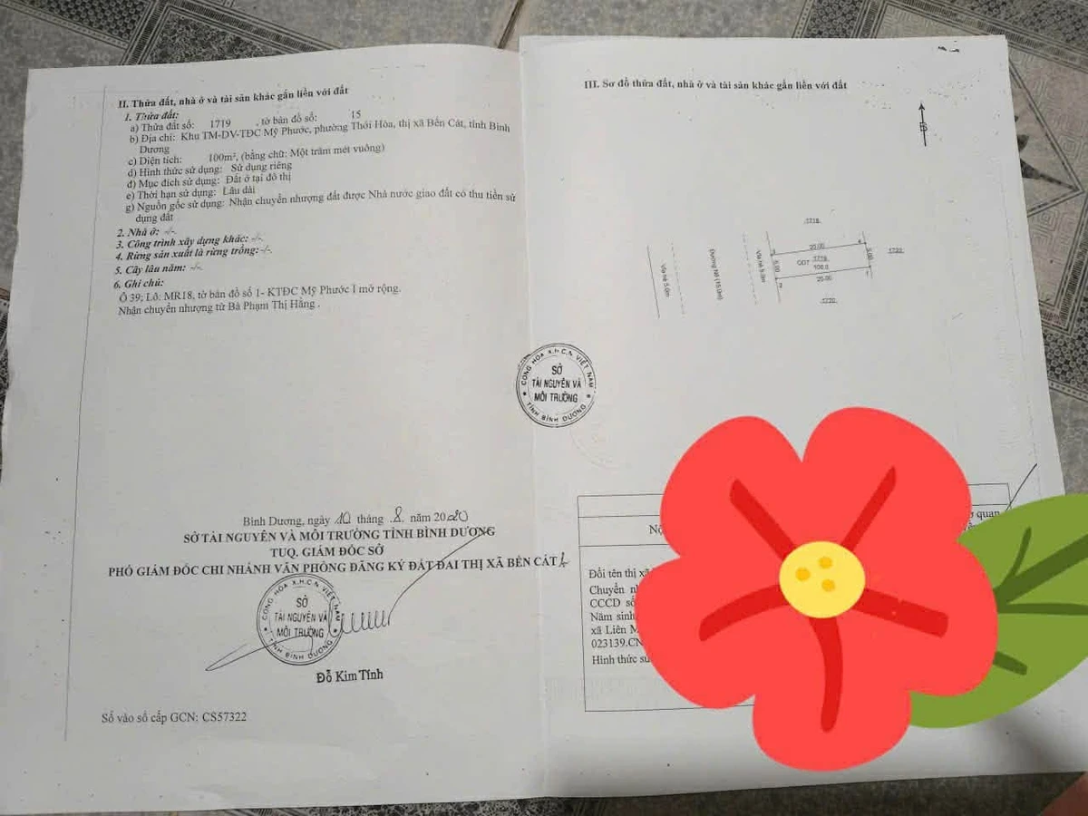 Bán nhà 5x20 (100m²) kinh doanh Mỹ Phước 1 giá 4.4 tỷ - Ảnh thu nhỏ 3