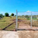 Bán đất cây trồng 850m² Hàm Liêm gần chợ Tân Nông - Ảnh thu nhỏ 1