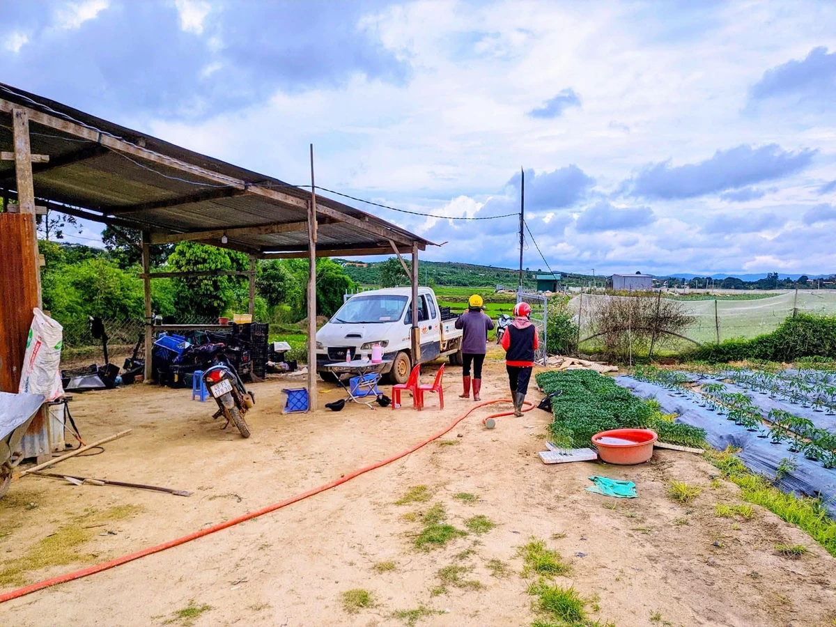 Bán đất 3,1 hectare thôn Phú Ao, Lâm Đồng - Ảnh thu nhỏ 2