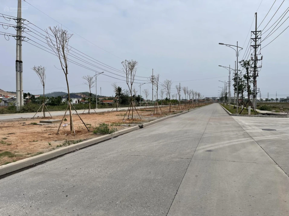Diện tích đất: 5.000m2. Không gian rộng rãi, thông thoáng. Hạ tầng sẵn có, sạch đẹp. Bàn giao ngay - Ảnh thu nhỏ 2