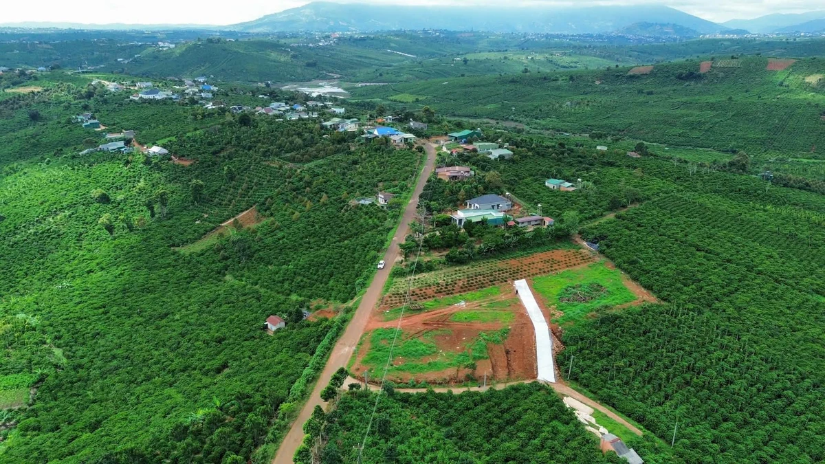 Bán lô đất mặt tiền 150m2 Tân Nghĩa, Di Linh, Lâm Đồng - Ảnh thu nhỏ 3