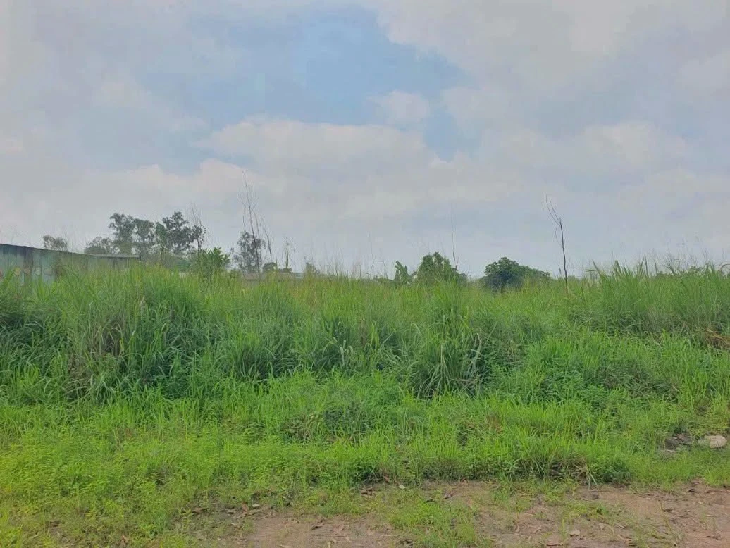 Bán đất góc 2 mặt tiền 5000m² Thiện Tân, Vĩnh Cửu, Đồng Nai - Ảnh 1