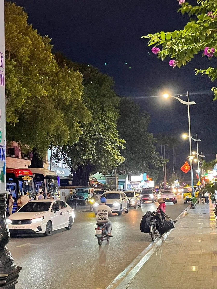 Cho thuê đất mặt tiền 500m2 Nguyễn Đình Chiểu, Mũi Né 20tr/tháng - Ảnh 1