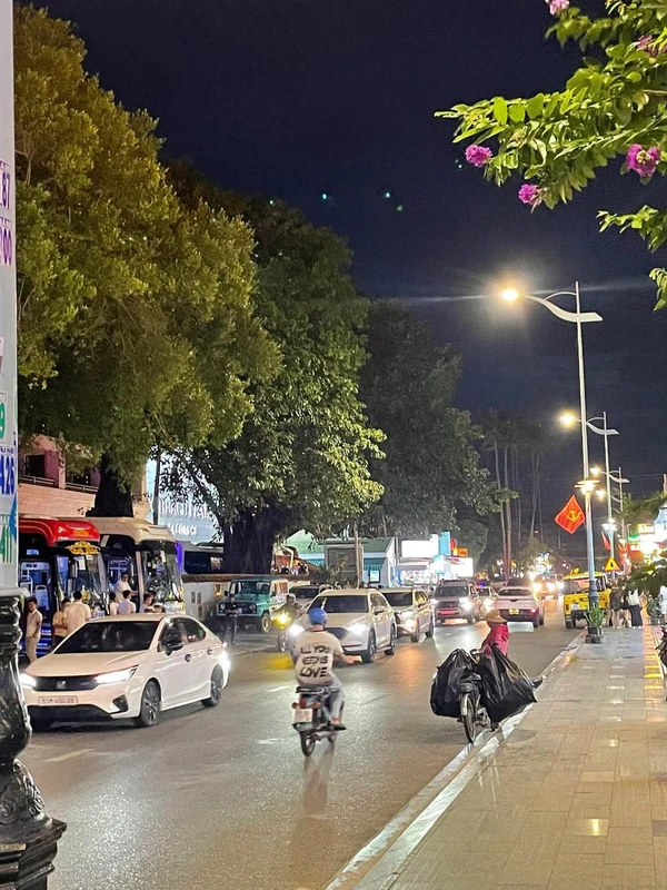 Cho thuê đất mặt tiền 500m2 Nguyễn Đình Chiểu, Mũi Né 20tr/tháng