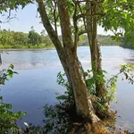 Bán đất vườn 5ha view hồ, 1,5ha cà phê, 1,5ha cao su tại xã Nhân Cơ - Ảnh thu nhỏ 1