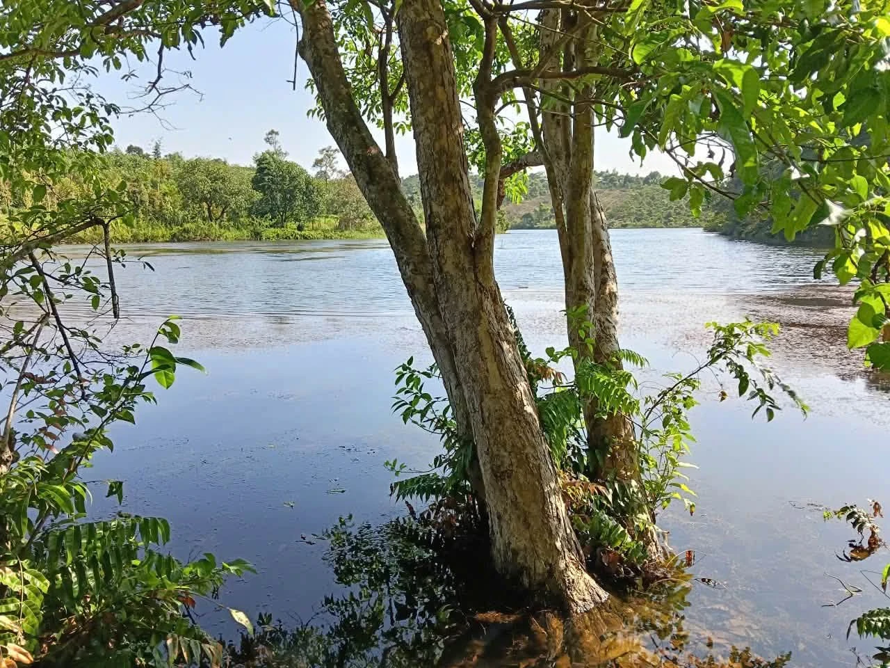 Bán đất vườn 5ha view hồ, 1,5ha cà phê, 1,5ha cao su tại xã Nhân Cơ - Ảnh 1