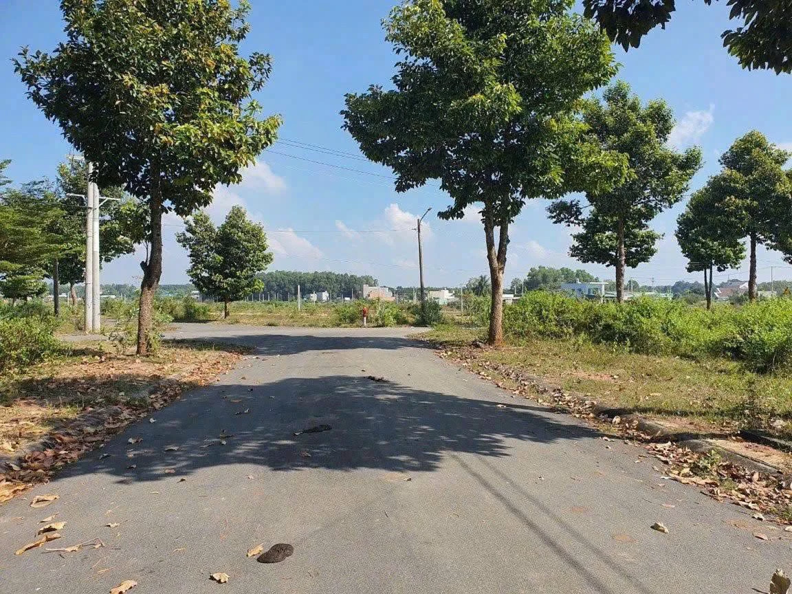 Bán đất biệt thự 299m2 Hòa Long Ba Ria 3.3 tỷ - Ảnh thu nhỏ 5