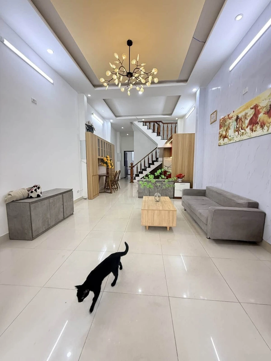 Nhà 2 tầng 3 PN, 74 m2, mặt tiền Trần Huy Liệu, Cẩm Lệ - Ảnh thu nhỏ 5