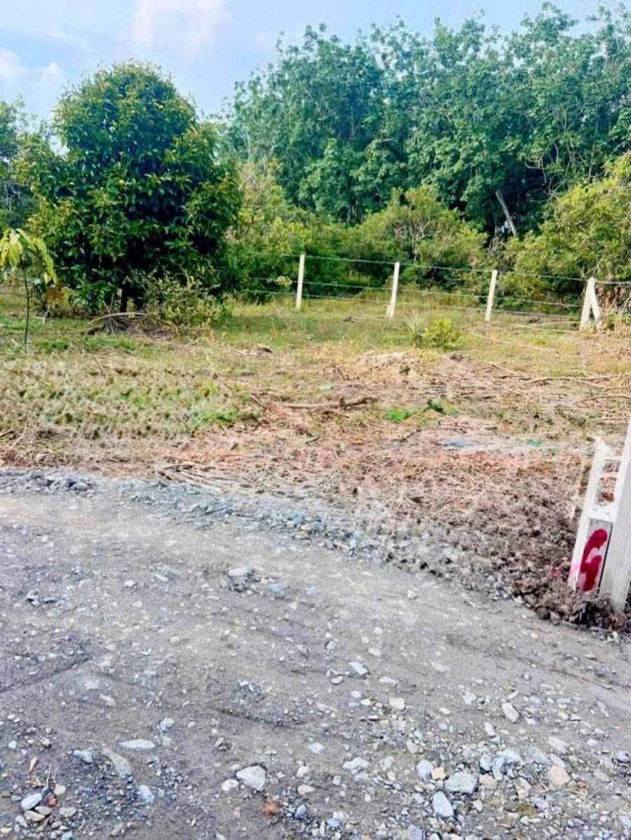 Bán đất Tây Ninh 67,5m² Long Hoa 240 triệu - Ảnh 1
