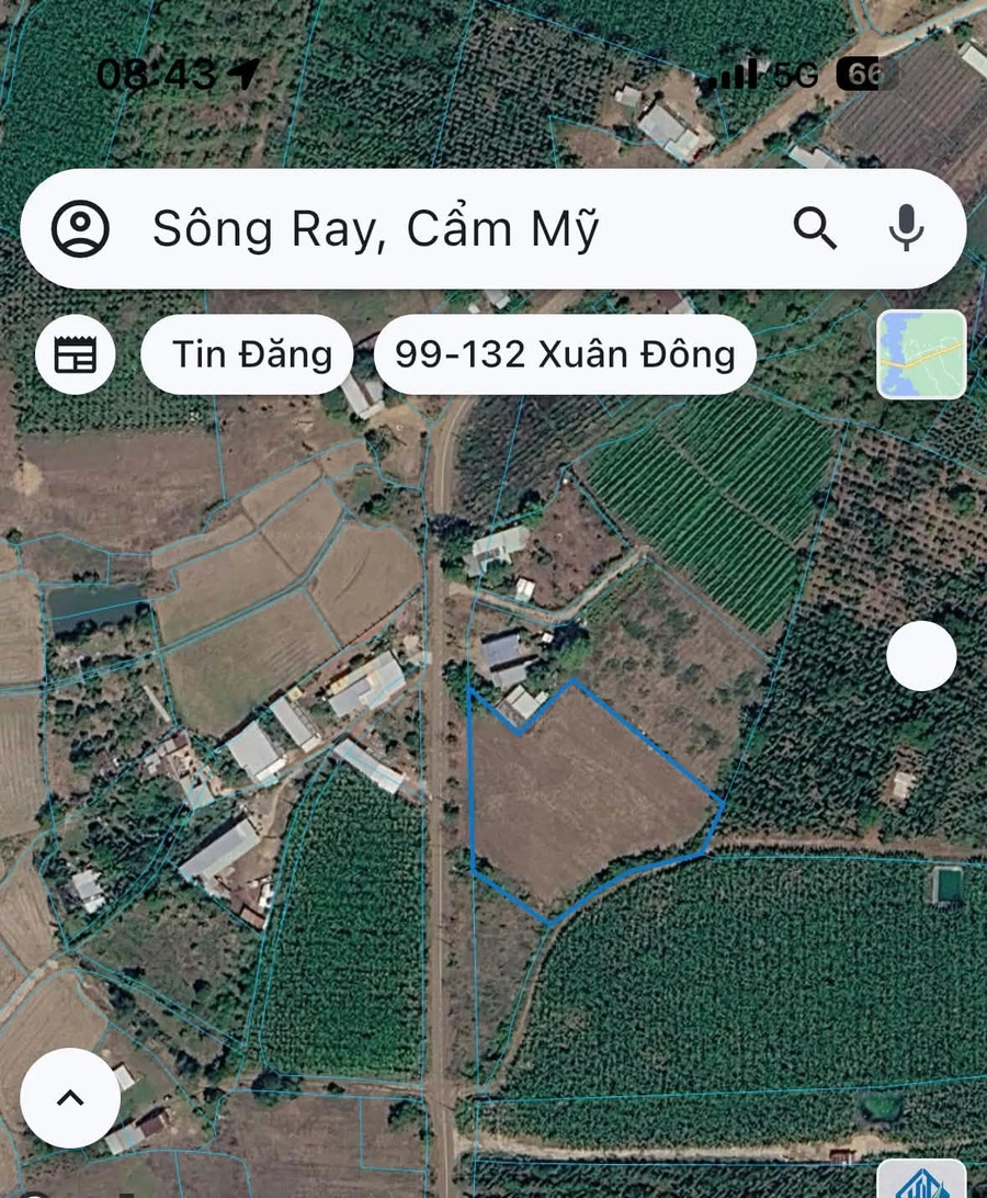 Bán đất 3600 m² Sông Rây, Cẩm Mỹ, Đồng Nai - Ảnh thu nhỏ 4