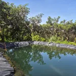 Bán đất 2ha Phú Sơn, Bù Đăng, Bình Dương, 1 tỷ 8 - Ảnh thu nhỏ 1