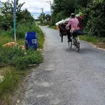 Bán đất mặt tiền Trảng Bàng 185m2, giá 1,25 tỷ - Ảnh thu nhỏ 4