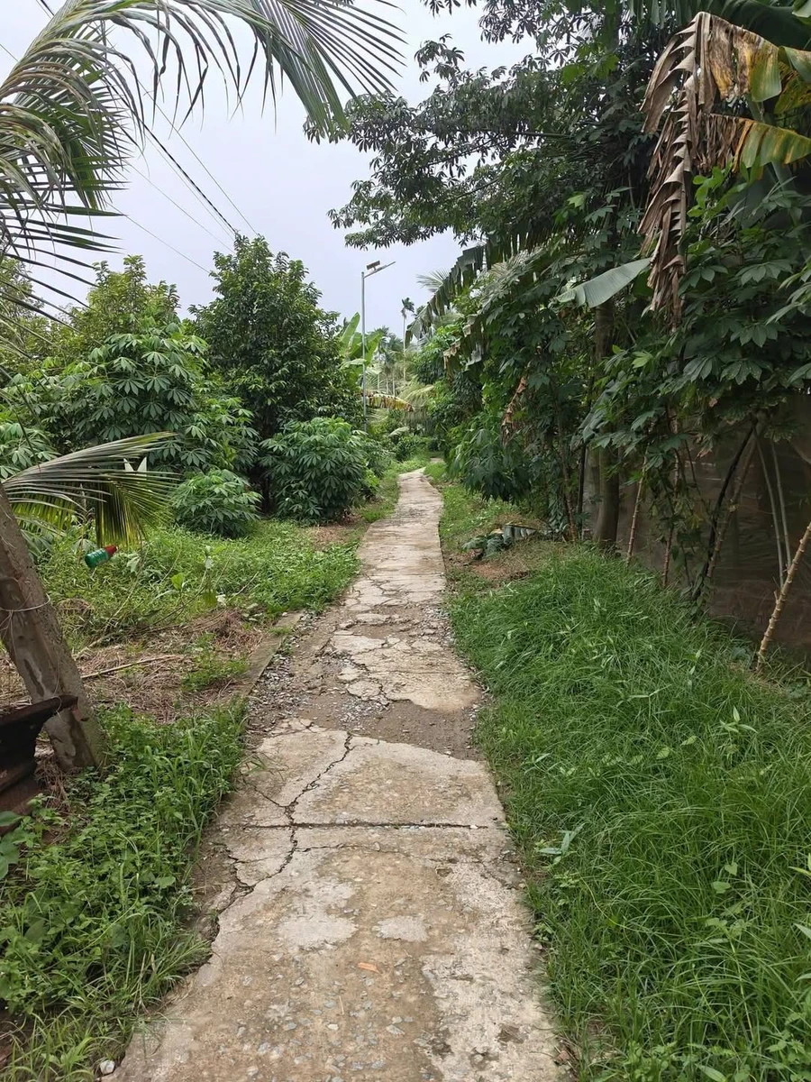 Bán đất xã Phú Mỹ Bến Tre 2000m² giá 1,4 tỷ - Ảnh 1