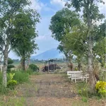Bán 1 sào đất nhà vườn view núi Chứa Chan Long Khánh 900 triệu - Ảnh thu nhỏ 1