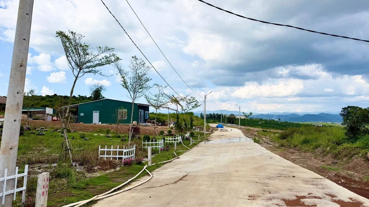 Bán đất 1.000m² giá 550 triệu, sổ riêng tại Đinh Văn, Lâm Hà, Lâm Đồng - Ảnh thu nhỏ 2